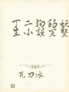 丁二狗的妖孽人生小说完整版