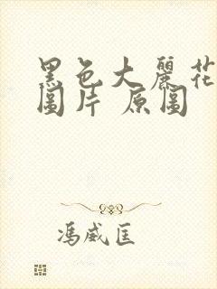 黑色大丽花真实图片 原图