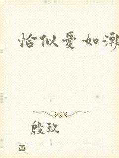 恰似爱如潮封面