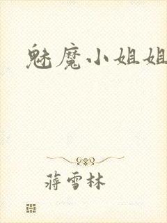魅魔小姐姐封面