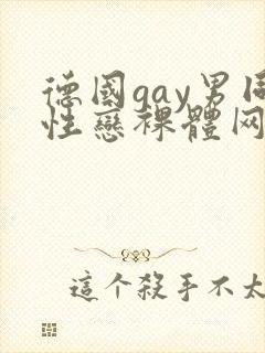 德国gay男同性恋裸体网站封面