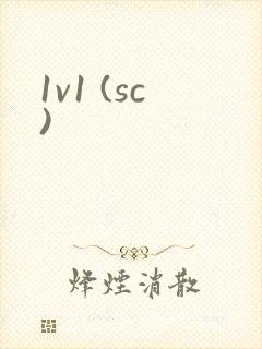 1v1 (sc)封面