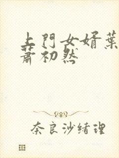 上门女婿叶辰 萧初然