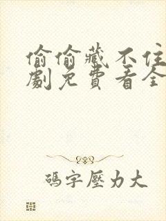 偷偷藏不住广播剧免费看全集