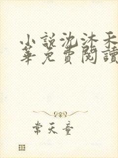 小说沈沐禾林霜华免费阅读