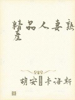 精品人妻熟女国产