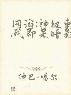 网游:神级刺客,我即是暗影txt