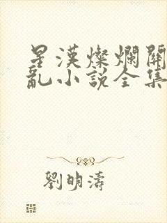 星汉灿烂关心则乱小说全集封面