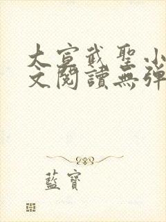 大宣武圣小说全文阅读无弹窗