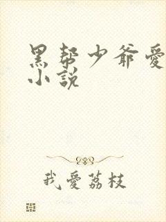 黑帮少爷爱上我小说