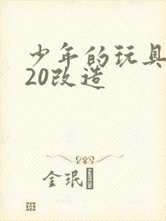 少年的玩具1一20改造