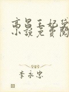 高昌王妃黛妃的小说免费阅读无弹窗全文封面