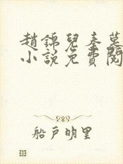 赵锦儿秦慕修的小说免费阅读全文封面