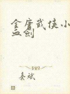 金庸武侠小说碧血剑封面