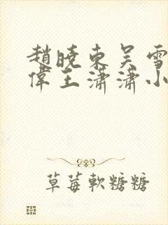 赵晓东吴雪晴郑伟王潇潇小说名字