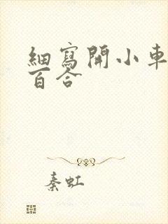 细写开小车车的百合封面
