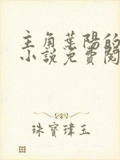 主角叶阳的官场小说免费阅读