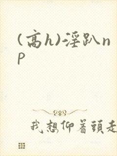 (高h)淫趴np