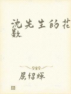 沈先生的花式调数