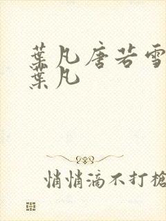 叶凡唐若雪医婿叶凡