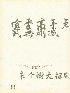 偷香高手免费下载无删减封面