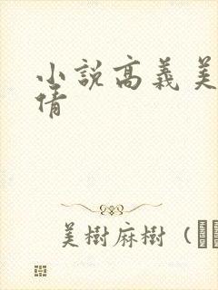 小说高义美红孙倩封面