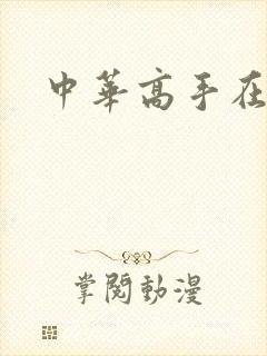 中华高手在异世封面