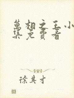 万相之王小说全集免费看