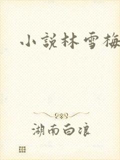 小说林雪梅