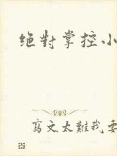 绝对掌控小说封面