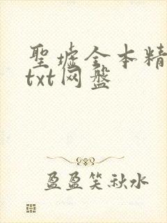 圣墟全本精校版txt网盘