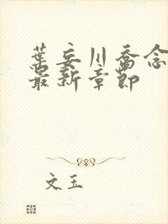 叶妄川乔念小说最新章节封面