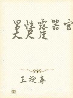 男性露器官进去大尺度