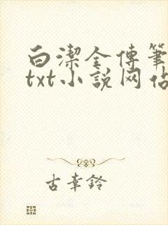 白洁全传笔趣阁txt小说网站在线阅读