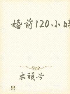婚前120小时封面
