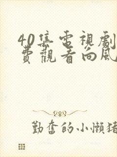 40集电视剧免费观看向风而行