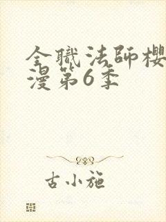 全职法师樱花动漫第6季封面