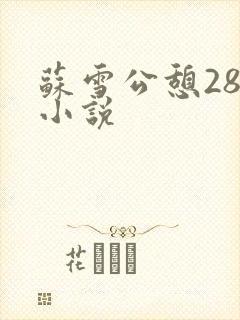 苏雪公憩28篇小说