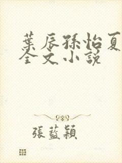 叶辰孙怡夏若雪全文小说