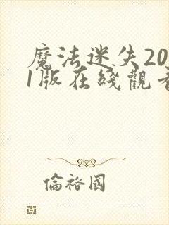 魔法迷失2011版在线观看封面