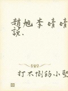 赵旭李晴晴的小说.封面