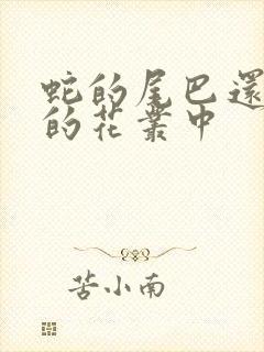 蛇的尾巴还在我的花丛中