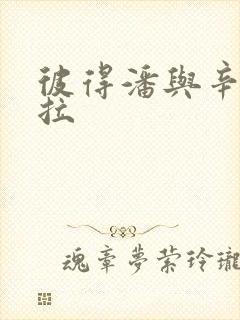 彼得潘与辛德瑞拉