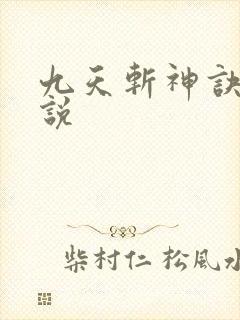 九天斩神诀 小说