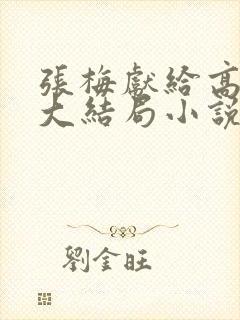 张梅献给高书记大结局小说免费阅读封面