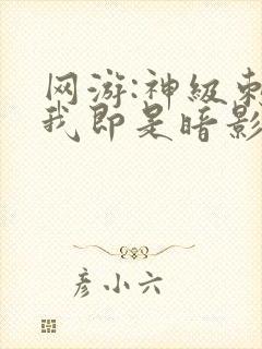 网游:神级刺客我即是暗影