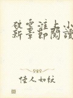 破云淮上小说最新章节阅读封面