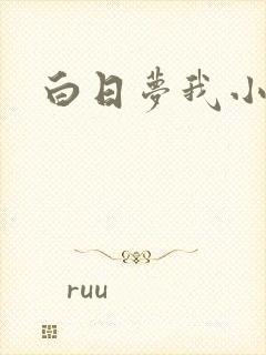 白日梦我小说