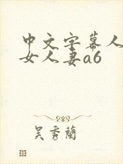 中文字幕人妻熟女人妻a6