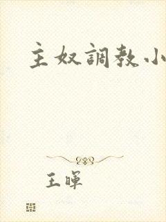 主奴调教小说封面